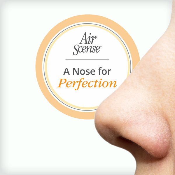 NoseForPerfectionREV